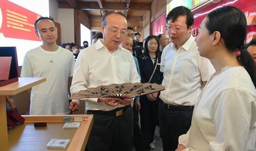 安庆市委书记张祥安调研假日经济和旅游安全工作(图1)