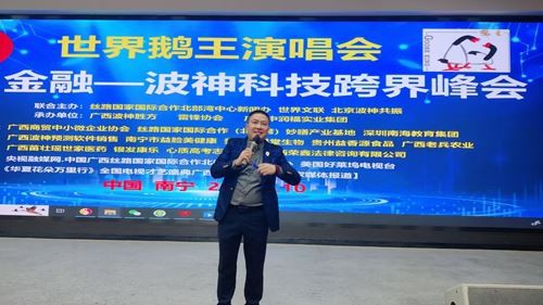 世界鹅王演唱会，波神科技跨界峰会启幕(图6)