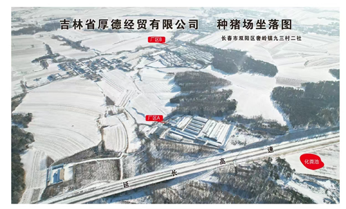 解码吉林省厚德经贸有限公司种猪场的“无抗密码”(图2)